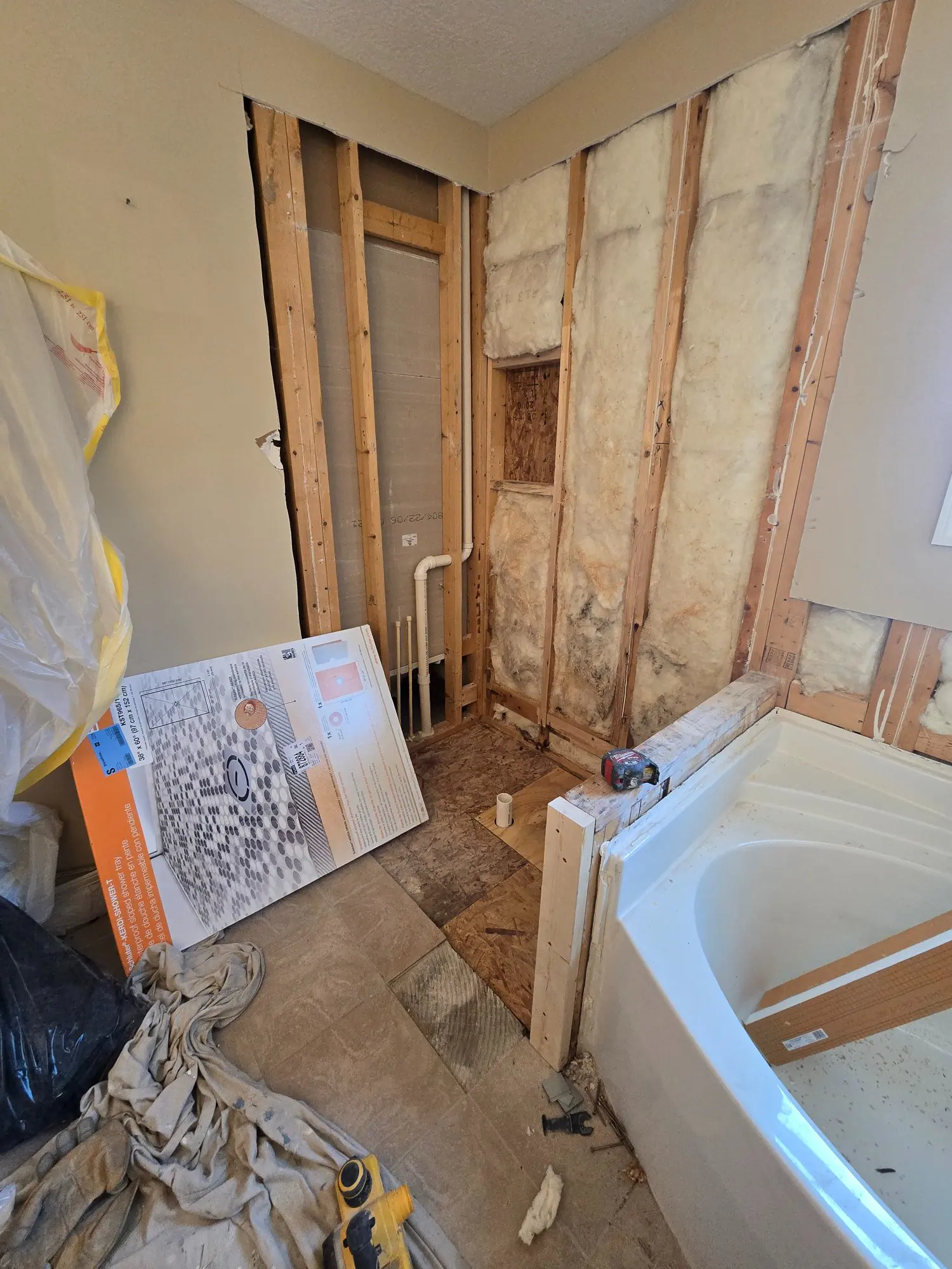Shower Demo to Studs GoBoard Master Bath Remodel Lewis Center Ohio PaintWerks